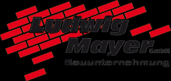 Logo_LudwigMayer_footer